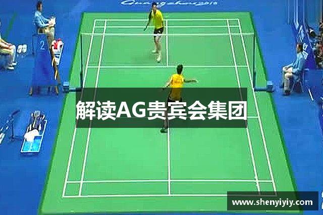 解读AG贵宾会集团